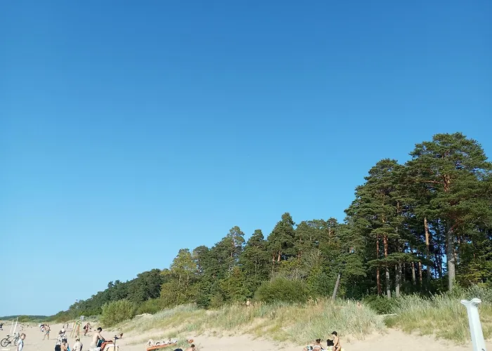 Studio Apartment Apartment *