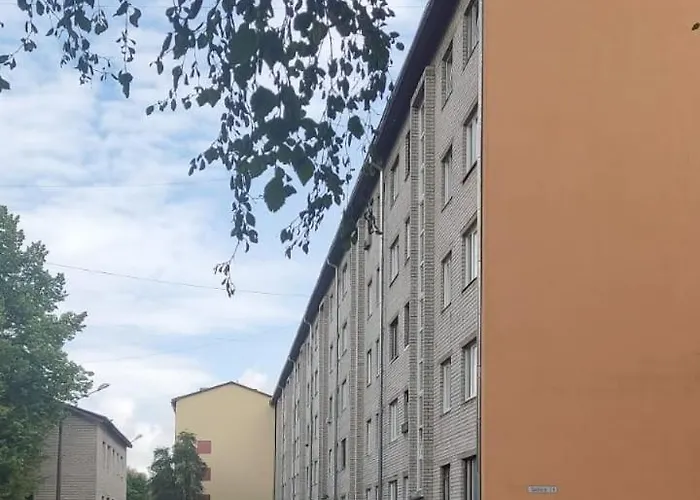 Studio Apartment Apartment Narva