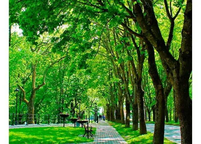 Studio Apartment Narva